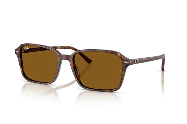 RAYBAN 2231 RAIMOND Γυαλια Ηλιου 