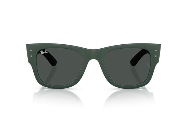 RAYBAN 4840S Γυαλια Ηλιου 