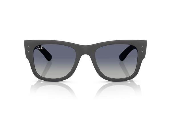 RAYBAN 4840S Γυαλια Ηλιου 