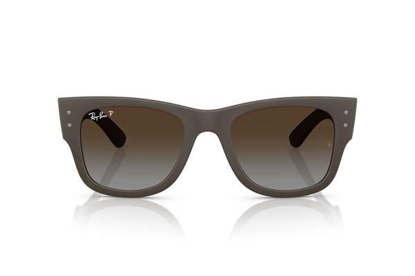 RAYBAN 4840S Γυαλια Ηλιου 