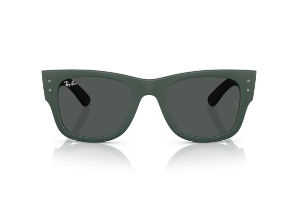 RAYBAN 4840S Γυαλια Ηλιου 