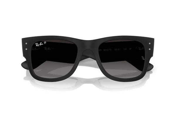 RAYBAN 4840S Γυαλια Ηλιου 