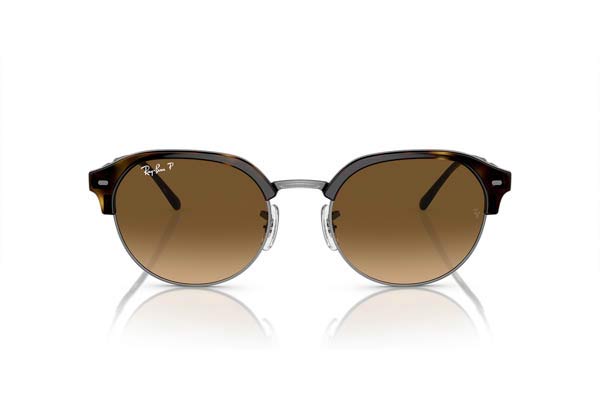 RAYBAN 4429 Γυαλια Ηλιου 