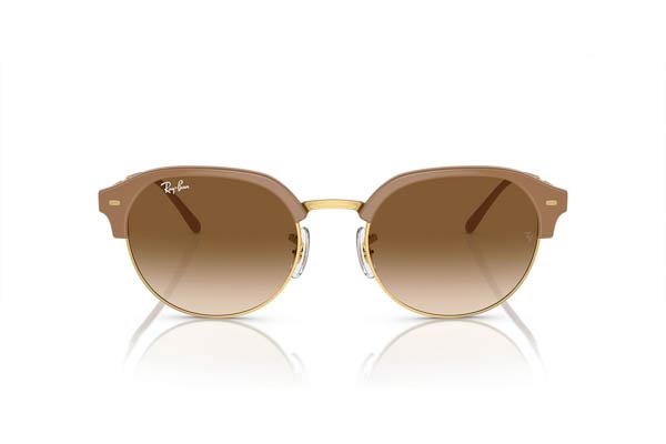 RAYBAN 4429 Γυαλια Ηλιου 