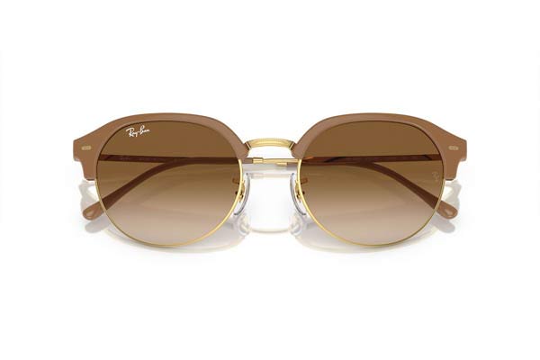 RAYBAN 4429 Γυαλια Ηλιου 