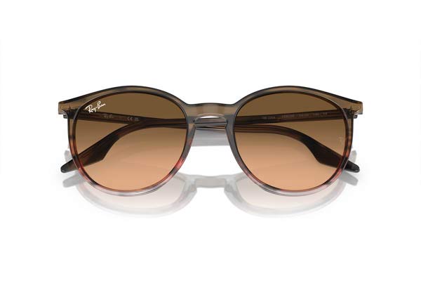 RAYBAN 2204 Γυαλια Ηλιου 