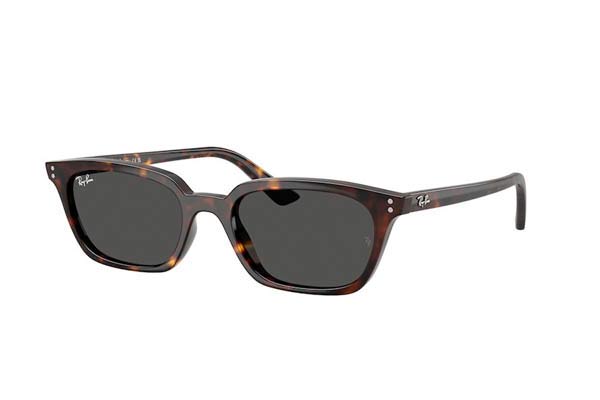 rayban 4456 ZAYA Γυαλια Ηλιου 