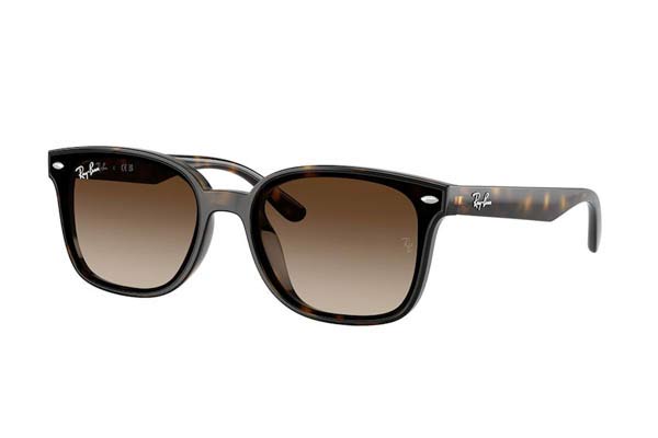 rayban 4461D Γυαλια Ηλιου 